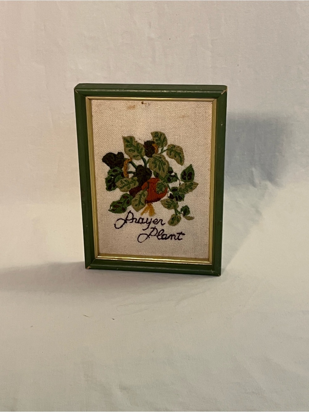 Small Vintage Framed Hand Embroidered 'Prayer Plant' 70’s Wall Art